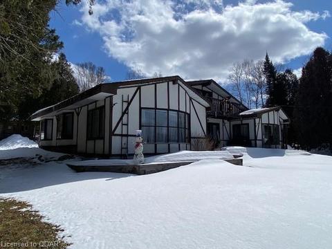 {{alt}} | Card Image